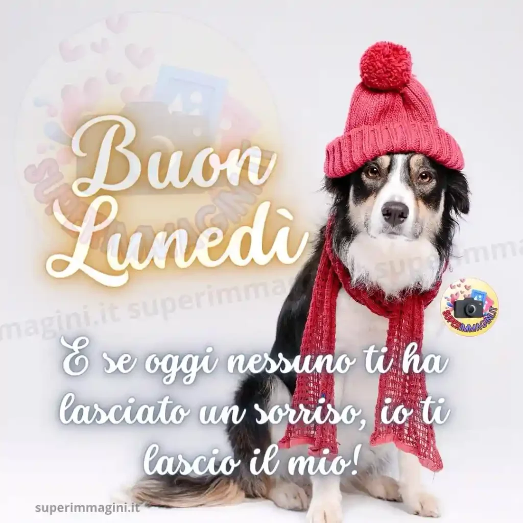 Buon lunedì invernale per Pinterest Facebook Instagram e Twitter con un dolce cagnolino che lascia un sorriso speciale sulla bacheca dei tuoi amici